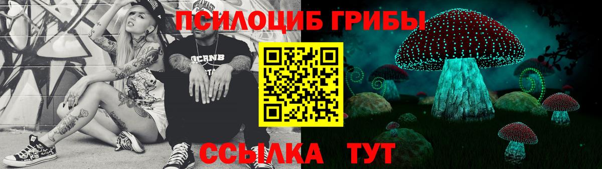 Псилоцибиновые грибы MAGIC MUSHROOMS  Галлюциногенные грибы Cubensis  Малгобек  Вход с VPN 